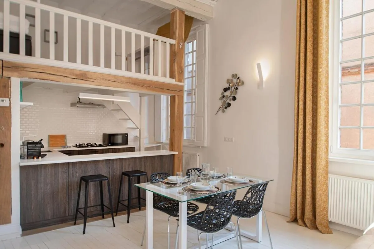 Appartement D'Exception Au Pied De La Cathedrale Albi