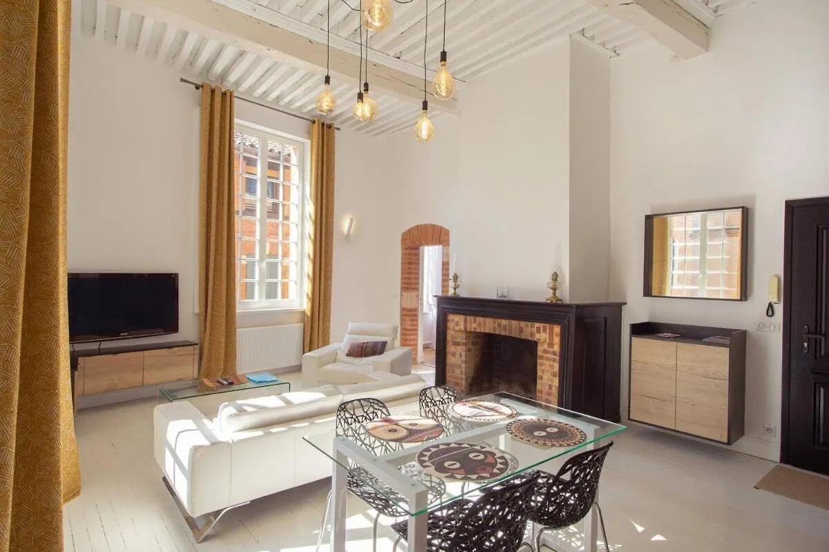 Appartamento Appartement D'Exception Au Pied De La Cathedrale Albi Francia