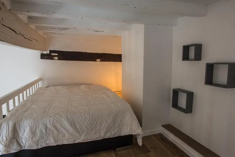 Appartement D'Exception Au Pied De La Cathedrale Albi Francia