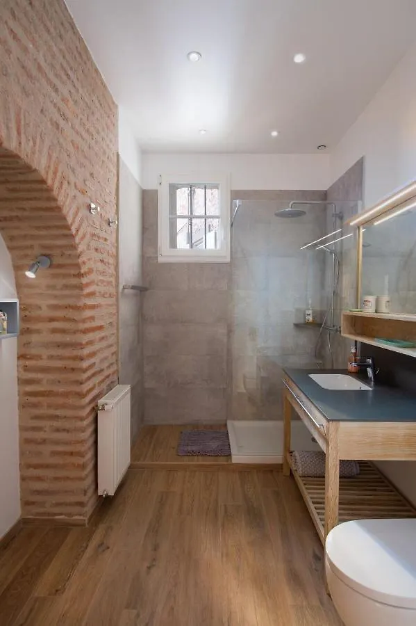 Appartement D'Exception Au Pied De La Cathedrale Albi Francia