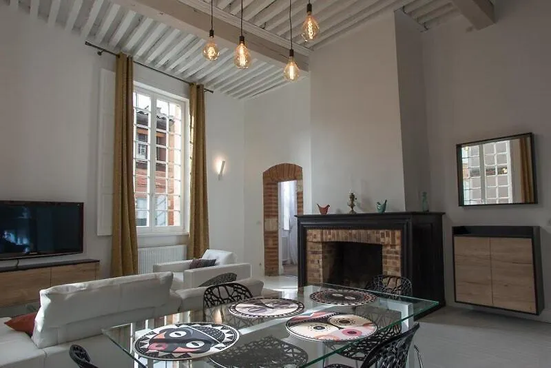 Appartement D'Exception Au Pied De La Cathedrale Albi