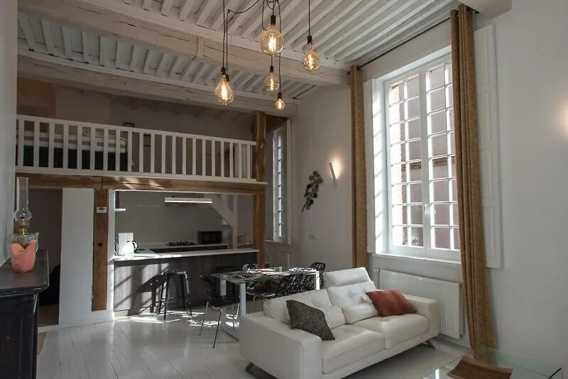 Appartement D'Exception Au Pied De La Cathedrale Albi Appartamento